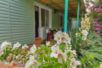 Фото Гостевой дом Green House г. Пляхо 2